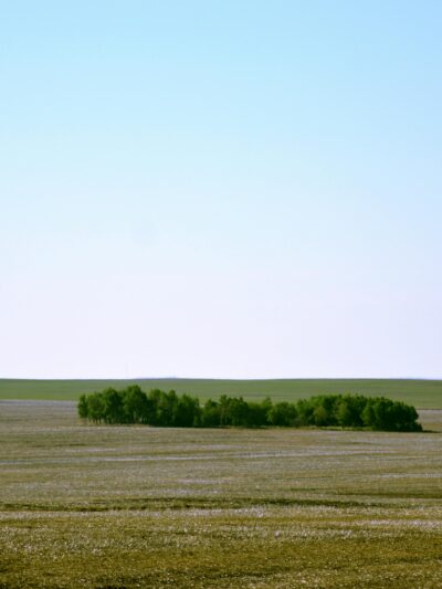 Lands